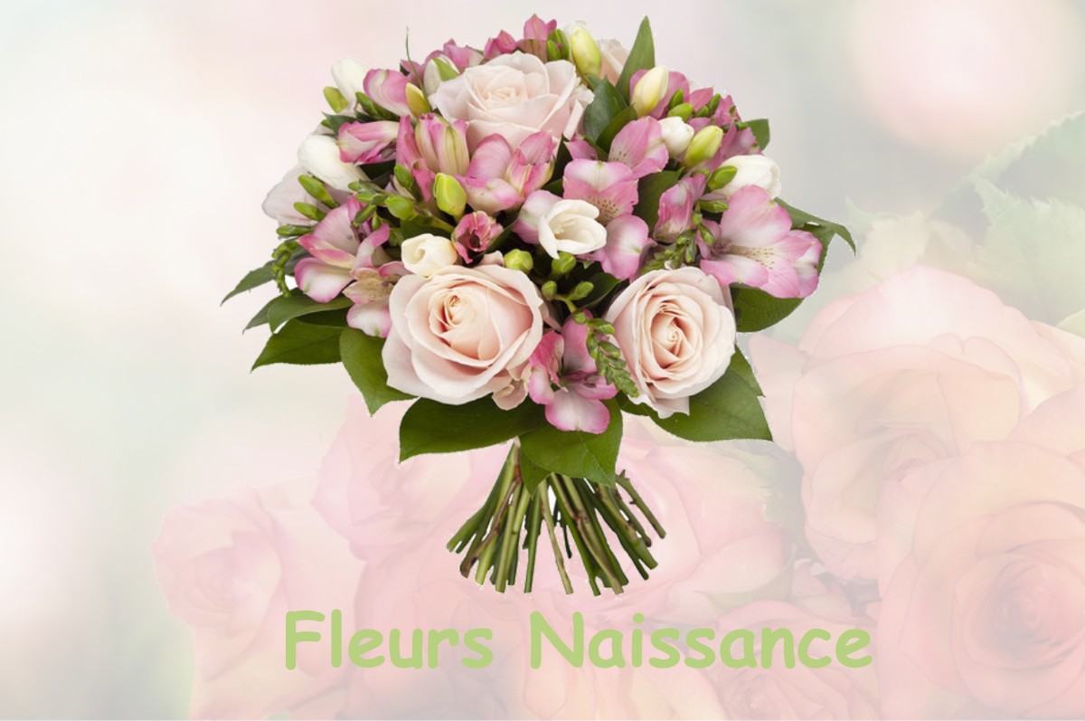 fleurs naissance SAINTE-FOY-DE-BELVES